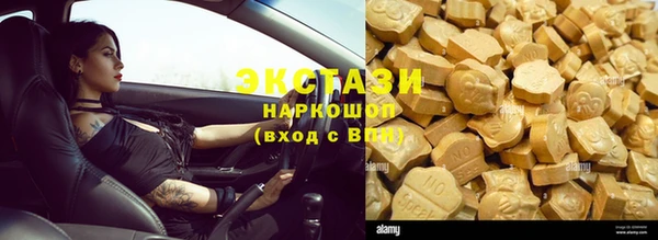 индика Богданович