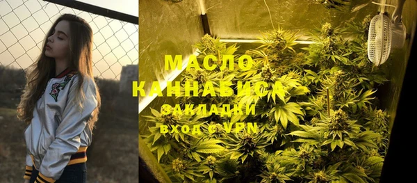 индика Богданович
