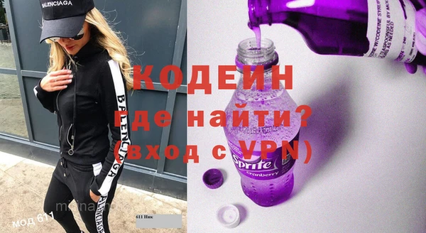 индика Богданович