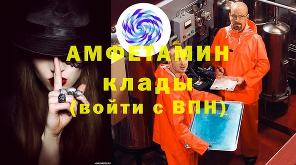 индика Богданович