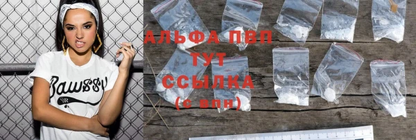 ПСИЛОЦИБИНОВЫЕ ГРИБЫ Белокуриха