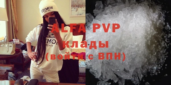 индика Богданович
