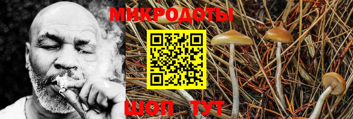 что такое наркотик  Галлюциногенные грибы GOLDEN TEACHER  Сланцы  Вход с VPN  Галлюциногенные грибы GOLDEN TEACHER 