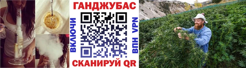 Каннабис White Widow Сланцы