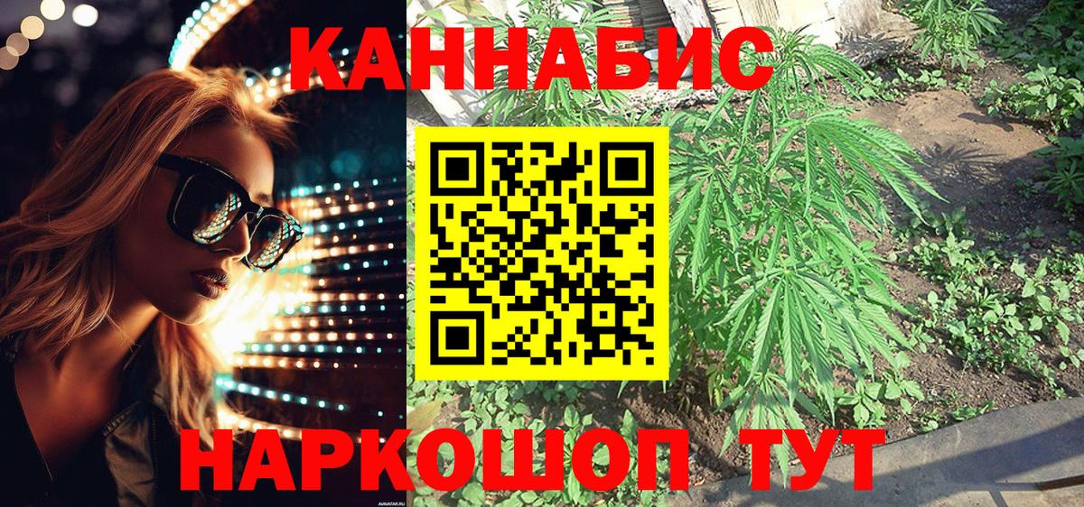 Марихуана сатива  Бошки Шишки марихуана  Сланцы  Вход с VPN  Канабис OG Kush 